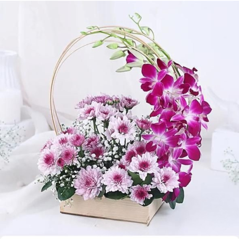 Royal Orchid & Daisy Embrace Flower