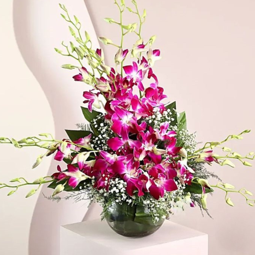 Purple Dendrobium Orchids