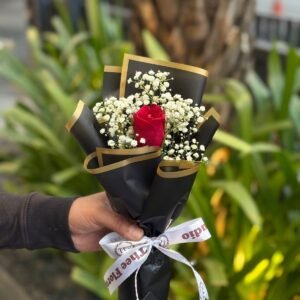 Beautiful Red Rose Bliss