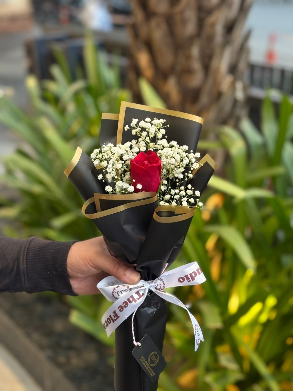Beautiful Red Rose Bliss