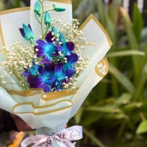 Beautiful Blue Orchid Bliss