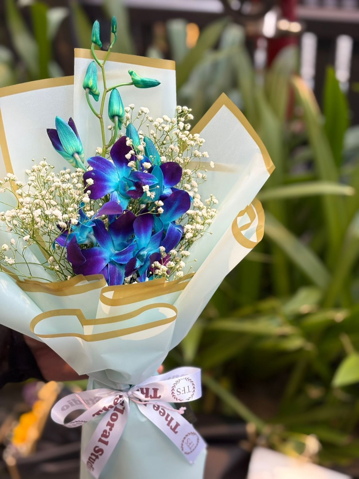 Beautiful Blue Orchid Bliss