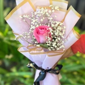 Beautiful Pink Rose Bliss